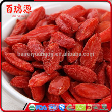 Baja en azúcar Ningxia goji baya extracto de goji importación de bayas de goji